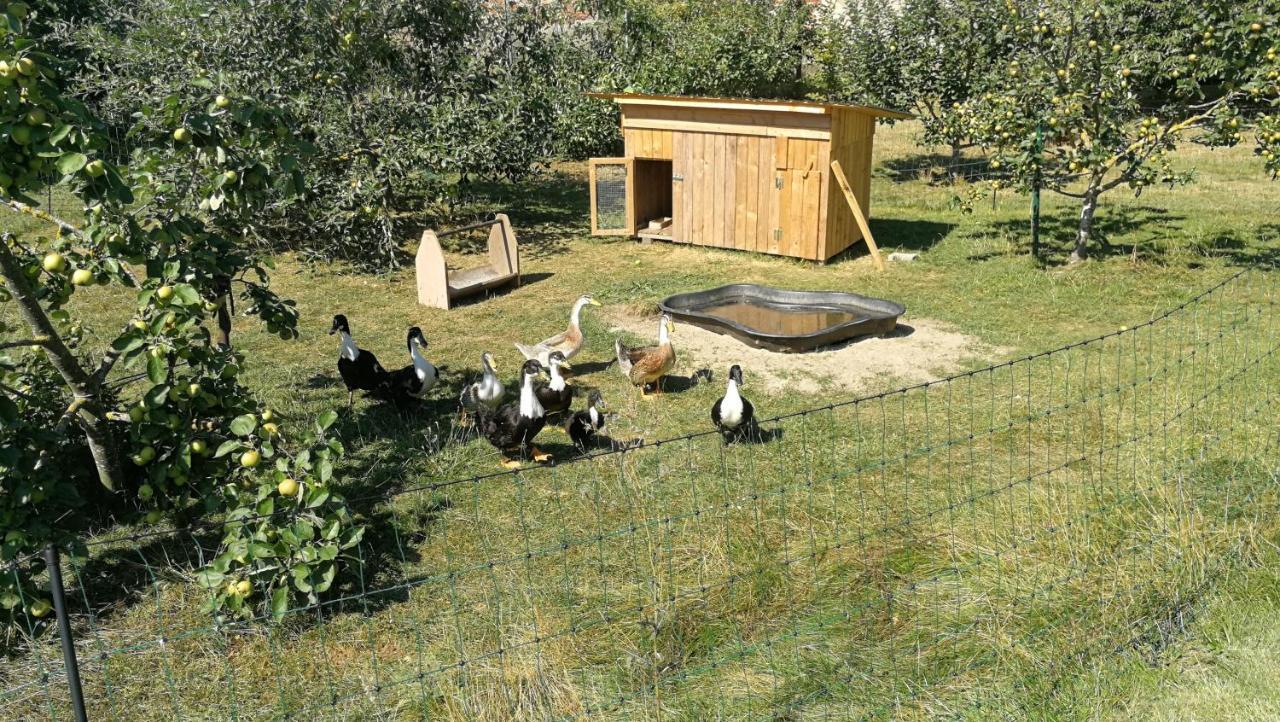 Jennys Hofladen Lägenhet Usedom Town Exteriör bild