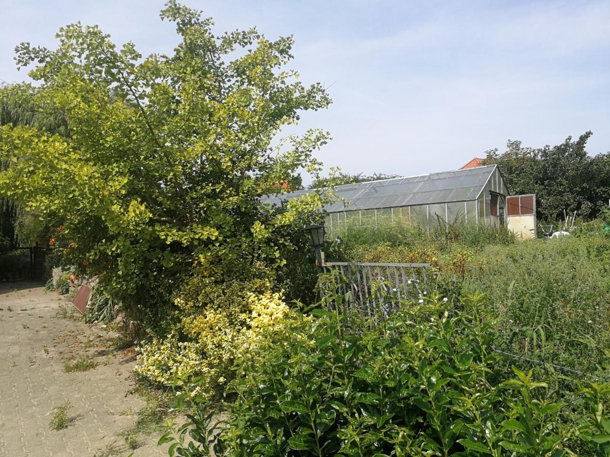 Jennys Hofladen Lägenhet Usedom Town Exteriör bild